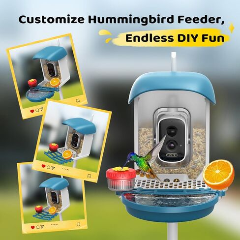 Bird Feeder with Camera 5MP Live Video, Solar Powered Smart AI Identify Birds Species, 2.4Ghz WiFi Camera Bird Feeder with Squirrel-Proof, Instant Arrival Alerts, Ideal Gifts for Bird Lovers in Kuwait