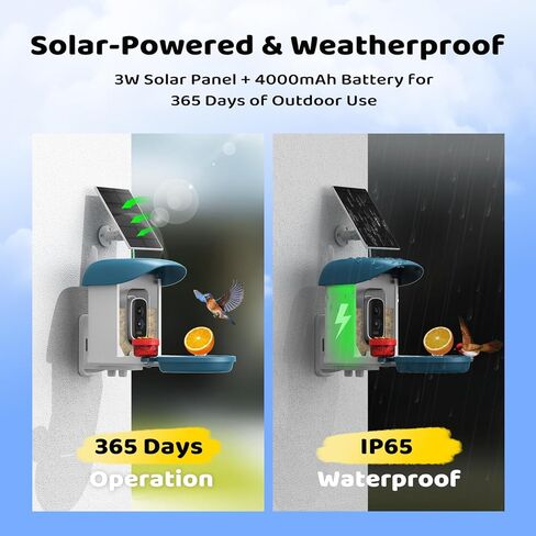 Bird Feeder with Camera 5MP Live Video, Solar Powered Smart AI Identify Birds Species, 2.4Ghz WiFi Camera Bird Feeder with Squirrel-Proof, Instant Arrival Alerts, Ideal Gifts for Bird Lovers in Kuwait