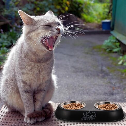 Beavorty Detachable Non-Slip Stainless Steel Pet Food Bowl, Thickened Small Dog Cat Feeding Dish, Black, Suitable for Indoor Feeding and Travel in Kuwait