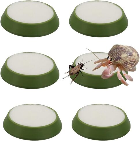 6 Pcs Cricket Water Bowl Plastic Reusable Feeding Dish Mini Bowl with 6 Pcs Sponge for Hermit Crab Cricket Scorpion Ant Isopod Invertebrate (Green) in Kuwait