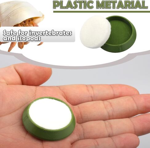 6 Pcs Cricket Water Bowl Plastic Reusable Feeding Dish Mini Bowl with 6 Pcs Sponge for Hermit Crab Cricket Scorpion Ant Isopod Invertebrate (Green) in Kuwait