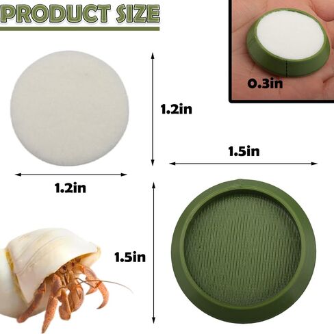 6 Pcs Cricket Water Bowl Plastic Reusable Feeding Dish Mini Bowl with 6 Pcs Sponge for Hermit Crab Cricket Scorpion Ant Isopod Invertebrate (Green) in Kuwait