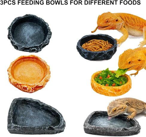 Bearded Dragon Tank Accessories Kit – 10pcs Reptile Water Food Bowl, Feeding Tongs with Rubber Tip, Grooming & Cleaning Set for Lizards, Geckos & Small Reptiles in Kuwait