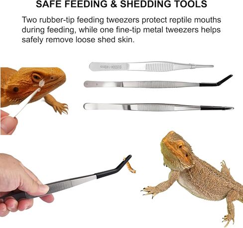 Bearded Dragon Tank Accessories Kit – 10pcs Reptile Water Food Bowl, Feeding Tongs with Rubber Tip, Grooming & Cleaning Set for Lizards, Geckos & Small Reptiles in Kuwait