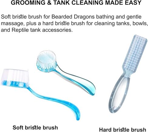 Bearded Dragon Tank Accessories Kit – 10pcs Reptile Water Food Bowl, Feeding Tongs with Rubber Tip, Grooming & Cleaning Set for Lizards, Geckos & Small Reptiles in Kuwait