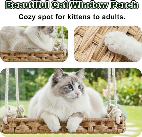 Cat Window Perch with 4 Strong Suction Cups,PE Rattan Basket Hammock with Soft Washable Plush Cushion,Cozy Hammock Perches for Large Indoor Cats Kittens Sunbathing Bird Watching in Saudi Arabia