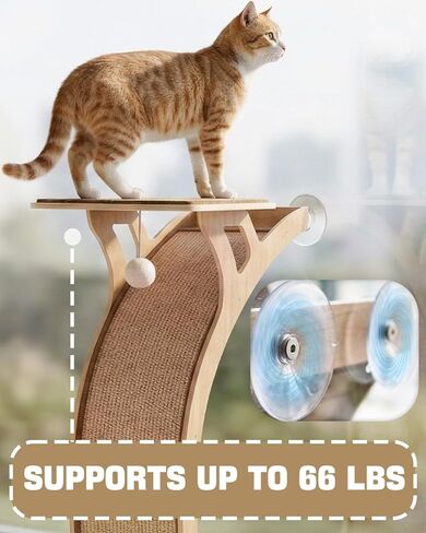 JKXJKX 47" Floor Standing Cat Window Perch with Curved Scratching Ramp, 80 Lbs Heavy Duty Window Bed Seat with Suction Cups, Furniture for Large Cats Indoor Bird Watching in Kuwait