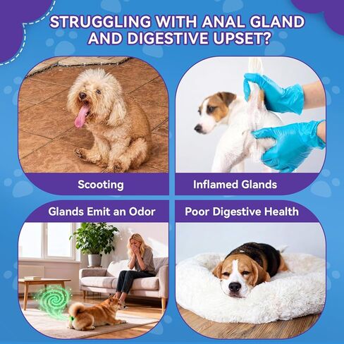 Anal Gland Soft Chews for Dogs - No Scoot for Dogs with Pumpkin, Inulin & Probiotics for Dogs Digestive, Supports Anal Gland Healthy & Bowel Function Fiber Supplement for Dog Chicken Flavor 200 Chews in Kuwait