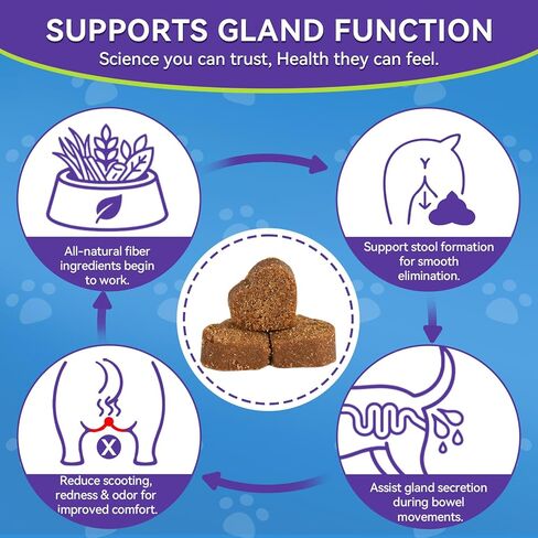 Anal Gland Soft Chews for Dogs - No Scoot for Dogs with Pumpkin, Inulin & Probiotics for Dogs Digestive, Supports Anal Gland Healthy & Bowel Function Fiber Supplement for Dog Chicken Flavor 200 Chews in Kuwait
