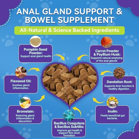 Anal Gland Soft Chews for Dogs - No Scoot for Dogs with Pumpkin, Inulin & Probiotics for Dogs Digestive, Supports Anal Gland Healthy & Bowel Function Fiber Supplement for Dog Chicken Flavor 200 Chews in Kuwait