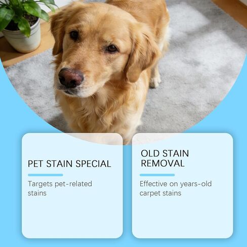 Pet Stain & Strong Odor Eliminator, Dog & Cat Pee Urine Destroyer for Carpet, Upholstery - Cleaner Spray for Pet Stain Remover, Urine, Poop, Pee, Deodorizer, Air Freshener in Home & Car - 5oz in Kuwait