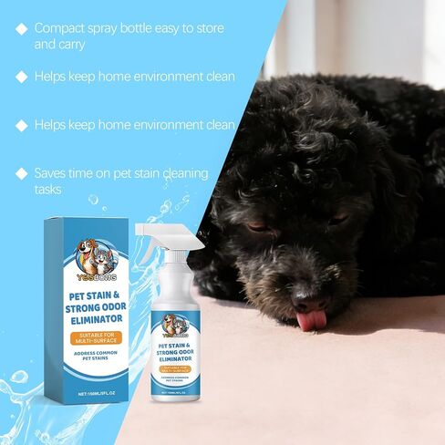 Pet Stain & Strong Odor Eliminator, Dog & Cat Pee Urine Destroyer for Carpet, Upholstery - Cleaner Spray for Pet Stain Remover, Urine, Poop, Pee, Deodorizer, Air Freshener in Home & Car - 5oz in Kuwait
