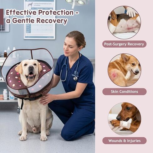 Avont 2-in-1 Inflatable Dog Cone Collar with Transparent Shield, Soft Donut E-Collar Alternative After Surgery to Stop Licking, Recovery Cone for Extra Large Dogs - Swimring (XL) in Kuwait