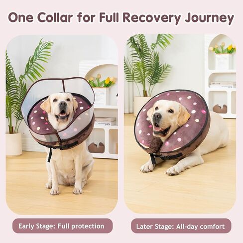 Avont 2-in-1 Inflatable Dog Cone Collar with Transparent Shield, Soft Donut E-Collar Alternative After Surgery to Stop Licking, Recovery Cone for Extra Large Dogs - Swimring (XL) in Kuwait
