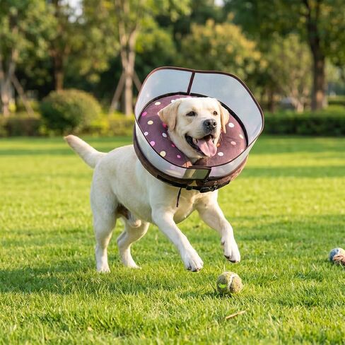 Avont 2-in-1 Inflatable Dog Cone Collar with Transparent Shield, Soft Donut E-Collar Alternative After Surgery to Stop Licking, Recovery Cone for Extra Large Dogs - Swimring (XL) in Kuwait