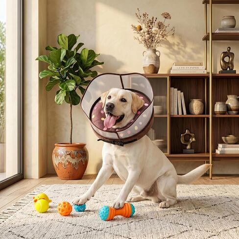 Avont 2-in-1 Inflatable Dog Cone Collar with Transparent Shield, Soft Donut E-Collar Alternative After Surgery to Stop Licking, Recovery Cone for Extra Large Dogs - Swimring (XL) in Kuwait