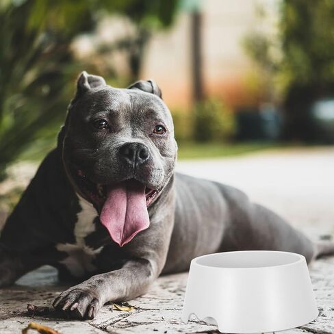 SHINEOFI Floating Dog Water Bowl No Spill Cat Feeder with Floating Disk Plastic Spill Proof Pet Water Dispenser for Outdoor Travel and Home Use in Kuwait