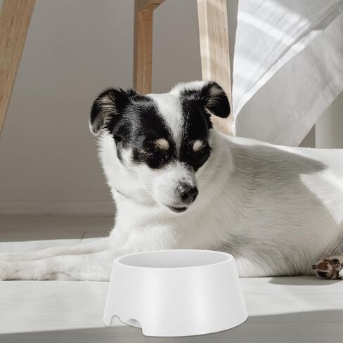SHINEOFI Floating Dog Water Bowl No Spill Cat Feeder with Floating Disk Plastic Spill Proof Pet Water Dispenser for Outdoor Travel and Home Use in Kuwait