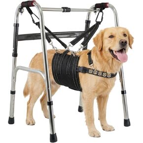 CWV Adjustable Dog Lift Harness for Large Dogs with an Adjustable Standing aid, Portable Dog Dling for Large Dogs Hind Leg Support, Soft Dog Harness for Senior, Disabled, After Surgery Dogs, Large in Kuwait