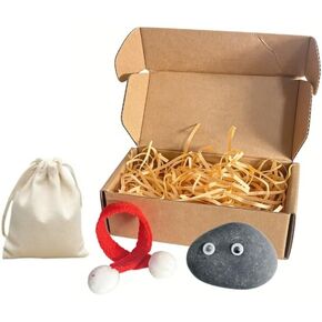 The Original Stone Pet DIY Kit - Adorable Low-Maintenance Desk Buddy | Custom Accessories (Scarf, Googly Eyes, Raffia) & Travel Bag | Perfect White Elephant & Birthday Gift in Kuwait