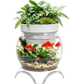 3 جالون PET Aquaponic Betta Fish Tank Aquaponic مع قاعدة وأعلى، حوض أسماك كبير مقاوم للكسر مع وضوح واضح لتررم، مزهرية زهرة هدية مركزية لمحبي الأسماك in Kuwait
