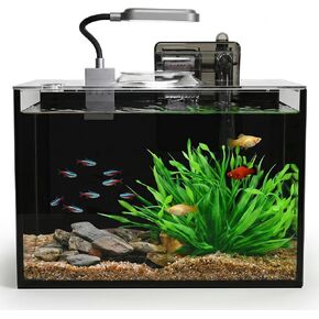 2.5 Gallon Nano Aquarium Kit, Glass Small Fish Tank Starter Kit with Light, Filter, Gravel Rock,Lid. Ultra Clear Rimless Desktop Fish Tank for Small Fish,Betta,Shrimp.Complete Version, Black in Saudi Arabia