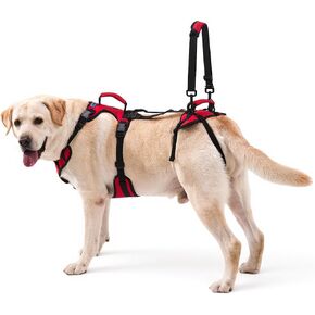 Dog Lift Harness for Extra Large Dogs, Heavy Dog Lifting Support Harness with Dual Handles, Strong Mobility Aid for Arthritis & Injury Recovery, Red, XL in Kuwait