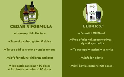 Cedar X® Formula (2 fl oz) in Saudi Arabia