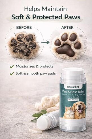 Dog Paw Balm Stick for Dry Cracked Paws – Moisturizing Paw & Nose Balm for Dogs & Cats – Easy Application, Non-Greasy Protection (40g) in Kuwait