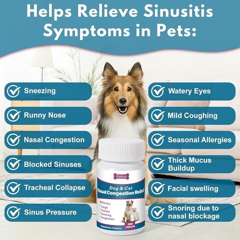 Dog and Cat Nasal Congestion Relief - Helps Relieve Sneezing, Trachea, Runny Nose & Nasal Congestion | Easy-to-Administer Tablets (200 ct) in Kuwait