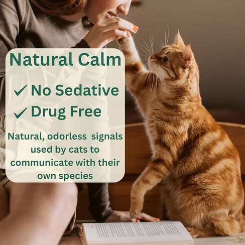 60-Day Cat Calming Diffuser Kit – 2-Pack | 2 Pheromone Diffuser + 2 Refills (48ml Each) | Reduces Anxiety, Spraying, Scratching & Meowing | Timer Modes to Extend Refill Life in Kuwait