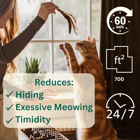 60-Day Cat Calming Diffuser Kit – 2-Pack | 2 Pheromone Diffuser + 2 Refills (48ml Each) | Reduces Anxiety, Spraying, Scratching & Meowing | Timer Modes to Extend Refill Life in Kuwait