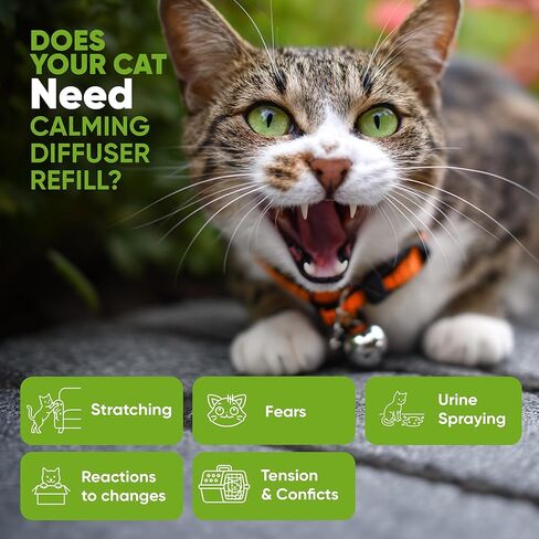 STÙNICK Cat Calming Diffuser 1 Diffuser and 2 Reffils 60-Day - Cat Pheromone Diffuser for Stress, Pee Spraying, Cat Fighting, Aggression, Excessive Meowing & Scratching - 60-Day Refill Included in Kuwait