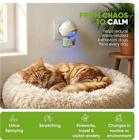 STÙNICK Cat Calming Diffuser 1 Diffuser and 2 Reffils 60-Day - Cat Pheromone Diffuser for Stress, Pee Spraying, Cat Fighting, Aggression, Excessive Meowing & Scratching - 60-Day Refill Included in Kuwait