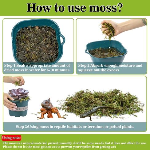 RAINFLOW Sphagnum Moss for Reptiles - 7 Oz Reptile Moss Peat Terrarium Moss Bedding Reptiles Lizard Substrate for Reptile Tank, Snake, Leopard Gecko, Ball Python, Crested Gecko, Turtle, Frog, Hamster in Kuwait