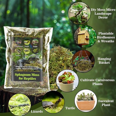 RAINFLOW Sphagnum Moss for Reptiles - 7 Oz Reptile Moss Peat Terrarium Moss Bedding Reptiles Lizard Substrate for Reptile Tank, Snake, Leopard Gecko, Ball Python, Crested Gecko, Turtle, Frog, Hamster in Kuwait