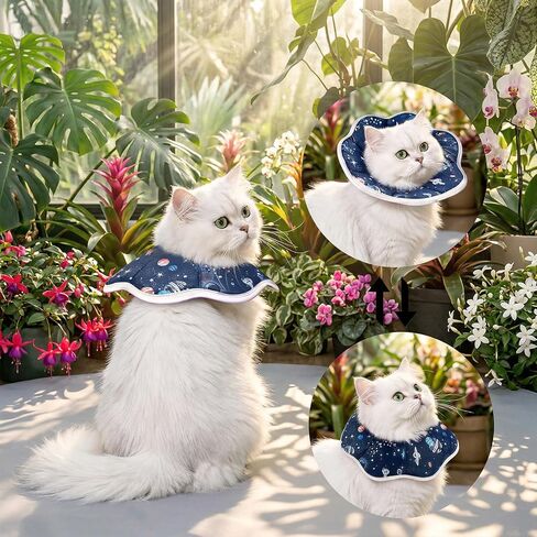 Soft Cat Cone Collar for Cats - Adjustable Recovery Cone After Surgery, Comfortable Elizabethan Collar to Stop Licking for Kittens & Puppies, Polyester, Blue with Space Print (M,10.63 in) in Kuwait