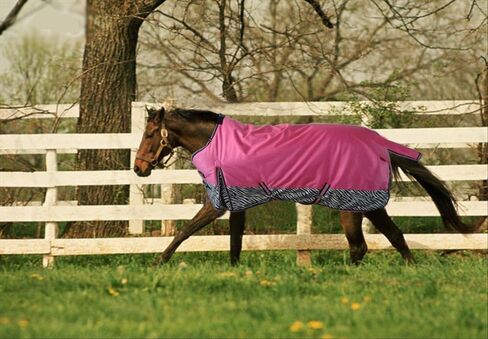 Turnout 1680D Horse Waterproof BLAKNET Winter Horse Blankets (006-Pink Zebra, 83") in Kuwait
