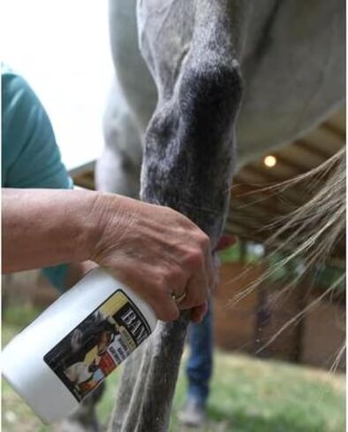 Horse and Pet Care 16oz - Gentle, Effective Care for Horses and Pets - Safe for Use Around Sensitive Areas - No Sting, Burn, or Odor - Helps Manage Minor Skin Care in Kuwait