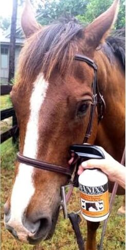 Horse and Pet Care 16oz - Gentle, Effective Care for Horses and Pets - Safe for Use Around Sensitive Areas - No Sting, Burn, or Odor - Helps Manage Minor Skin Care in Kuwait