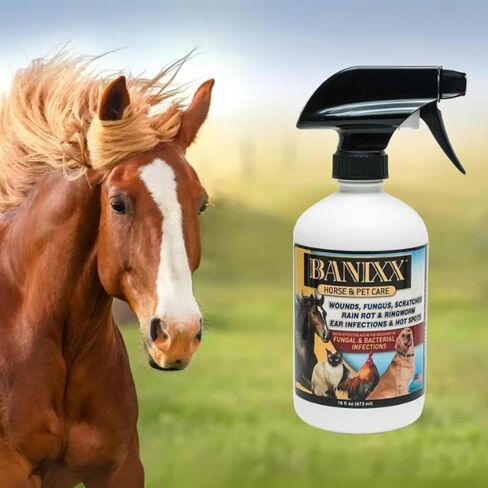 Horse and Pet Care 16oz - Gentle, Effective Care for Horses and Pets - Safe for Use Around Sensitive Areas - No Sting, Burn, or Odor - Helps Manage Minor Skin Care in Kuwait