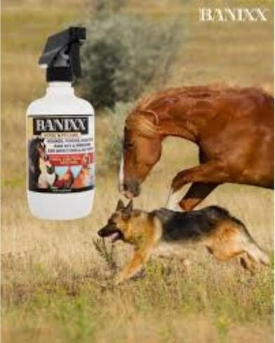Horse and Pet Care 16oz - Gentle, Effective Care for Horses and Pets - Safe for Use Around Sensitive Areas - No Sting, Burn, or Odor - Helps Manage Minor Skin Care in Kuwait