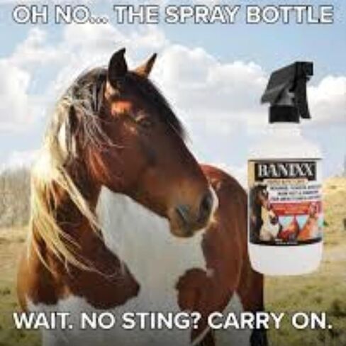 Horse and Pet Care 16oz - Gentle, Effective Care for Horses and Pets - Safe for Use Around Sensitive Areas - No Sting, Burn, or Odor - Helps Manage Minor Skin Care in Kuwait