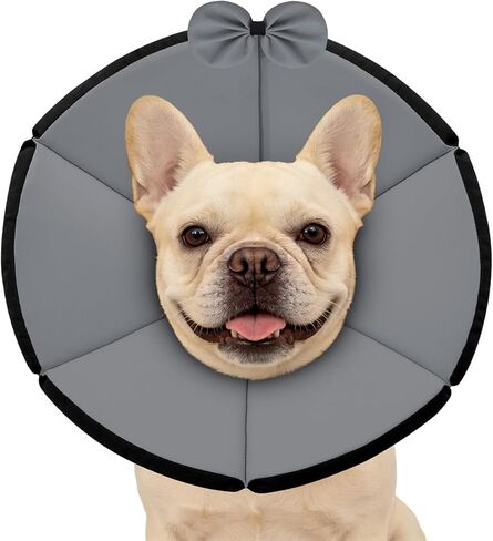 MAXFUT Soft Dog Cone Collar,Foam Cone for Dogs to Stop Licking After Surgery,Non Inflatable Dog Donut Cone (Grey, XXL) in Saudi Arabia