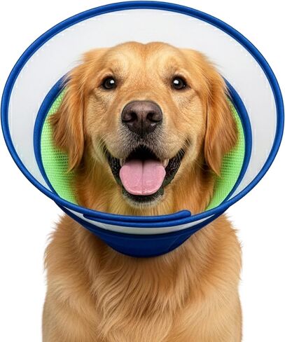 Soft Dog Cone Collar After Surgery – Adjustable Recovery Cone for Medium & Large Dogs – Double-Layer Protective Elizabethan Collar for Wound Protection & Licking Prevention – Comfortable - Blue in Kuwait