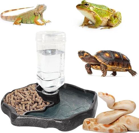 Automatic Reptile Water Feeder, Turtle Food and Water Bowl, Tortoise Water Bottle, Water Dispenser for Snake Bearded Dragon Lizard and Chameleon in Kuwait