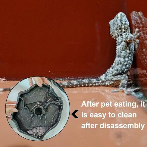 Automatic Reptile Water Feeder, Turtle Food and Water Bowl, Tortoise Water Bottle, Water Dispenser for Snake Bearded Dragon Lizard and Chameleon in Kuwait
