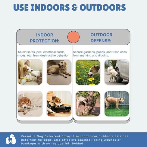 No Chew Spray for Dogs,Bitter Apple Spray for Dogs to Stop Chewing,Can Effectively Protect The Safety of Furniture,Plant,Shoes, Etc,Safe for People and Pets,Alcohol-Free, Indoor/Outdoor Use,3.38oz in Kuwait