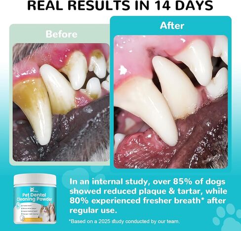 Dog Teeth Cleaning Powder, Dental Powder for Dogs Teeth Cleaning and Breath Fresh, Bad Breath Fresher & Tartar Remover with Enzyme, Probiotics. Plaque Off Pet Tooth Cleaning 120 Grams 60 Servings in Kuwait