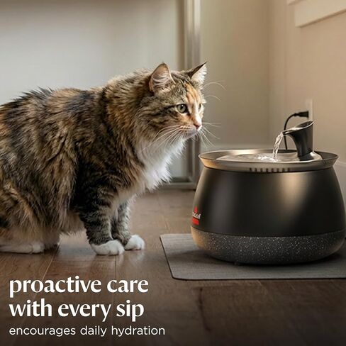 BISSELL HydrateWell Pet Water Fountain, 91oz Automatic Cat Water Fountain with Wireless Pump, SlimeShield and 5-Layer Filtration, Ultra Quiet Cat Water Dispenser, 4408 in Kuwait
